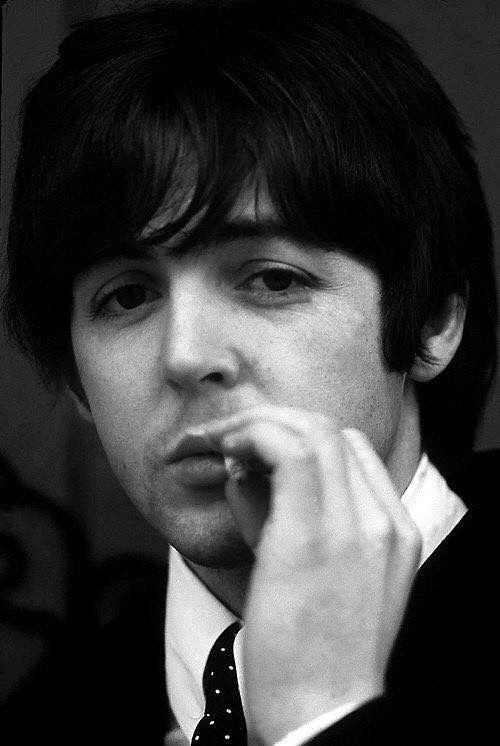 Paul McCartney thumbnail