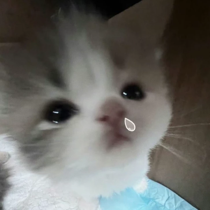 Лио