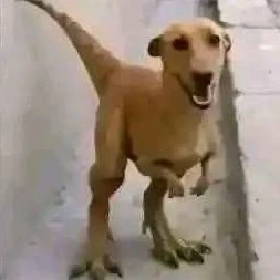 el onichan