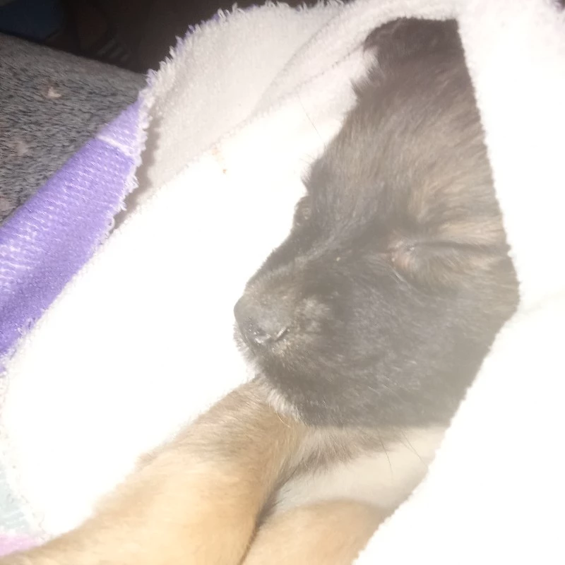 Owen ×_×