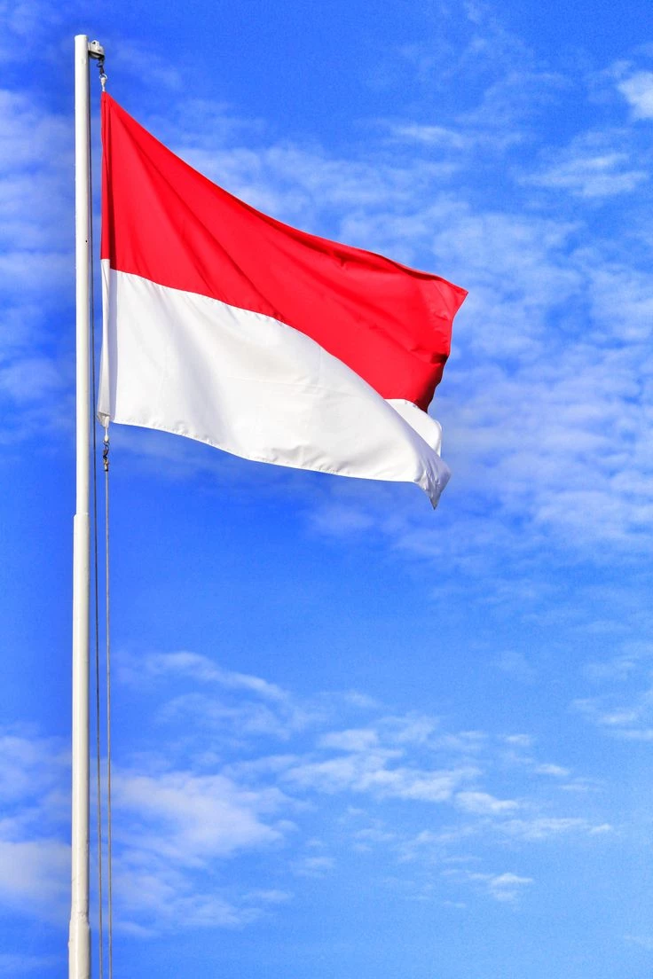 THE STATE OF INDONESIA thumbnail