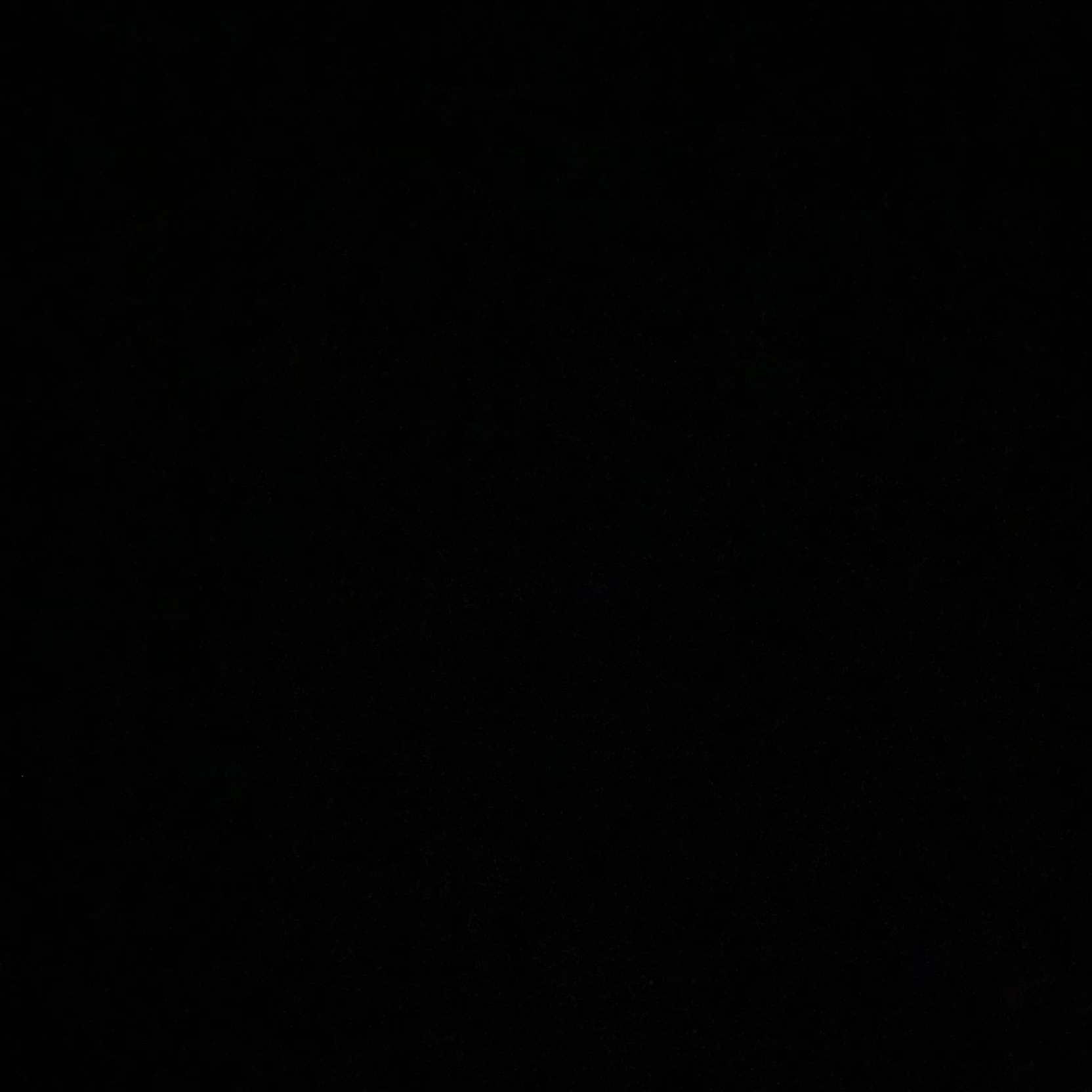 Adam thumbnail