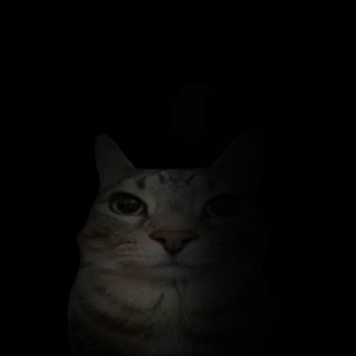 Boris