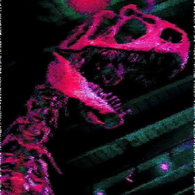 opossum