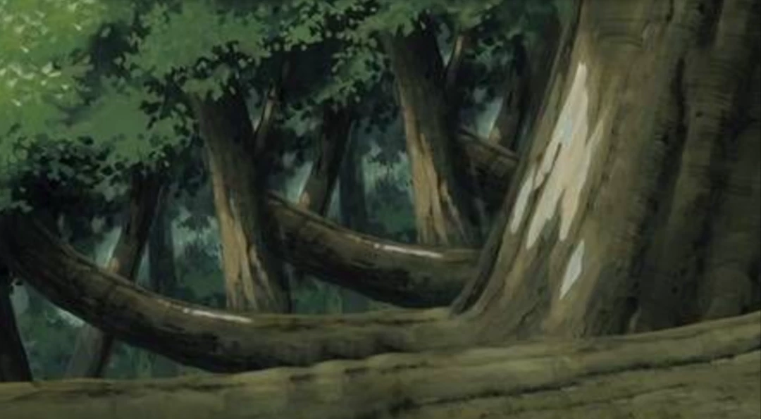 Naruto chunin exams forest of death thumbnail