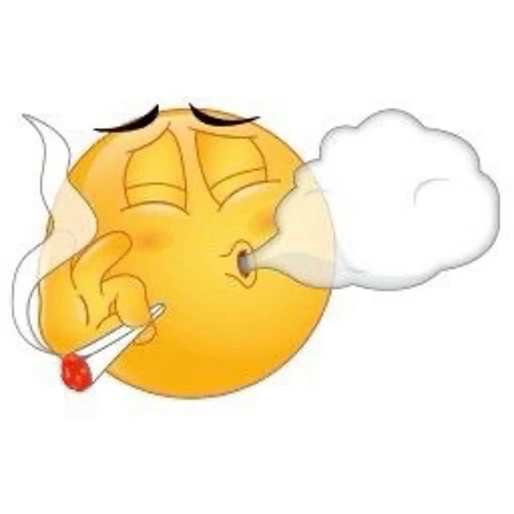 Skr