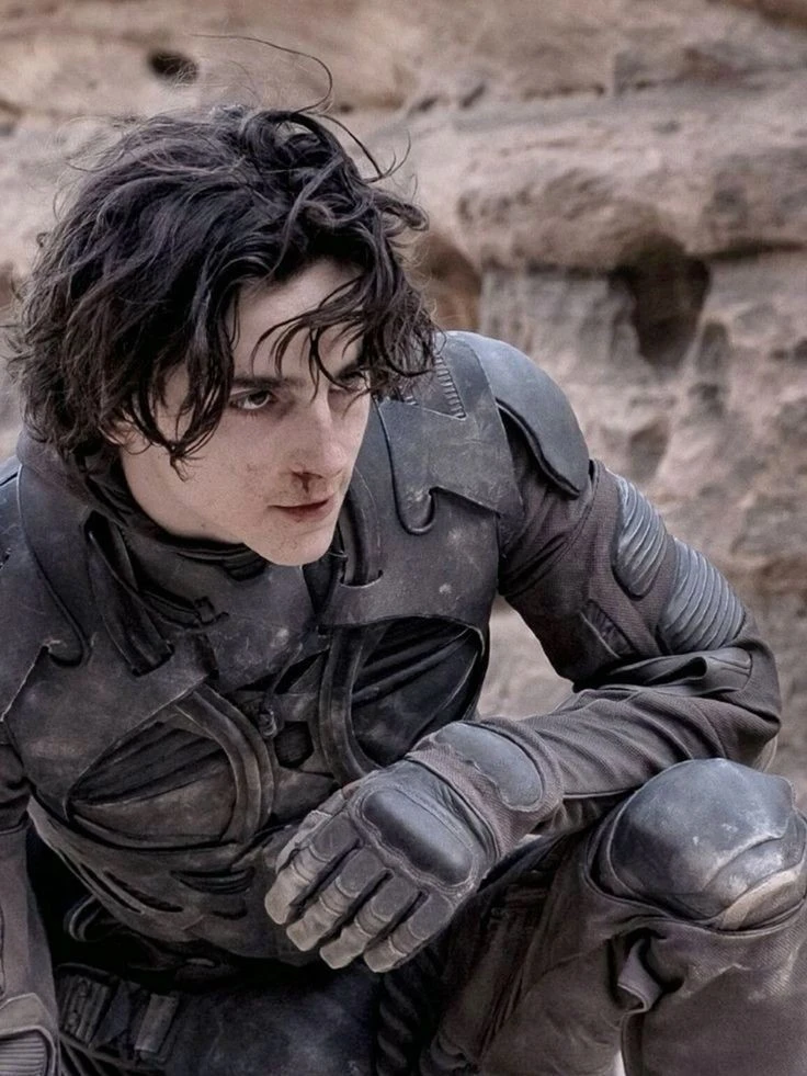 Paul Atreides thumbnail
