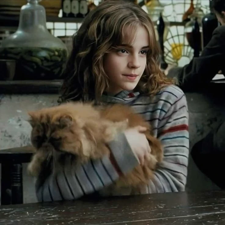 Hermione Granger thumbnail
