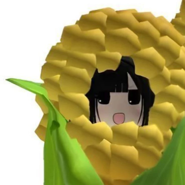 Ahikiho ☆