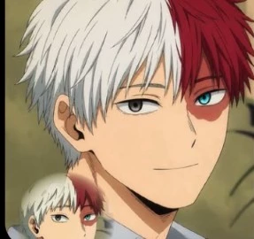 todoroki thumbnail