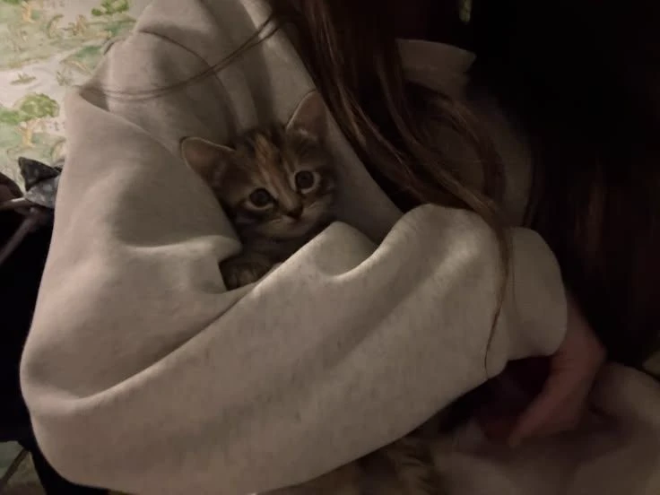 Rita thumbnail
