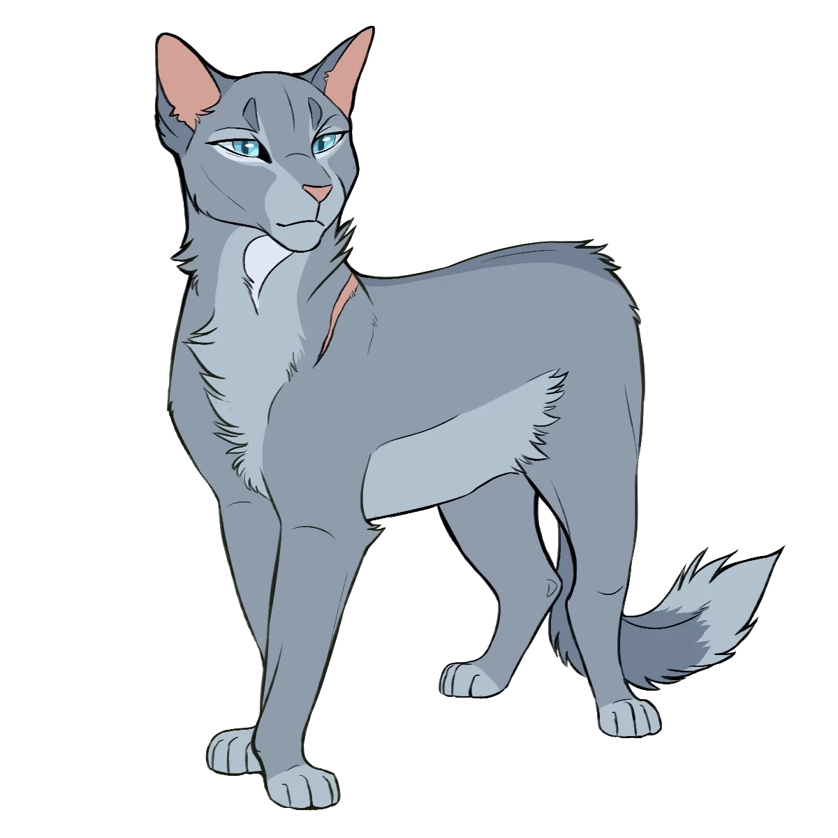 bluestar thumbnail