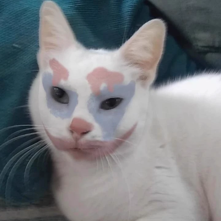 Felicia thumbnail