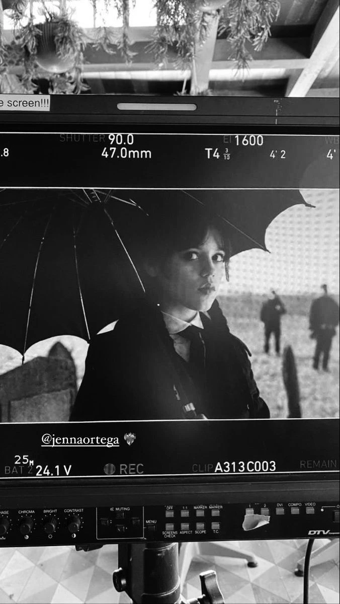 Wednesday Addams— (Woman loves Woman) thumbnail