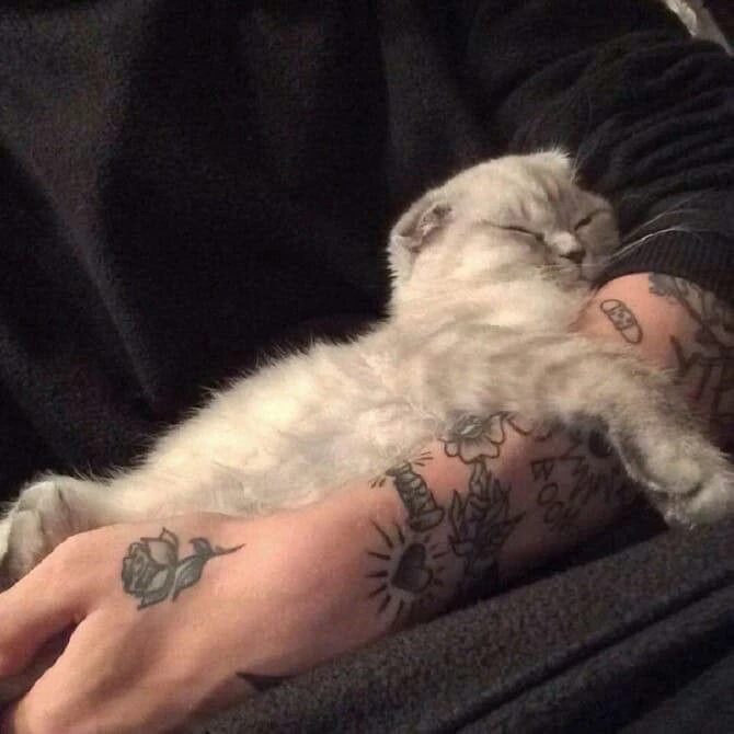 Dante(Human Cat Owner) thumbnail