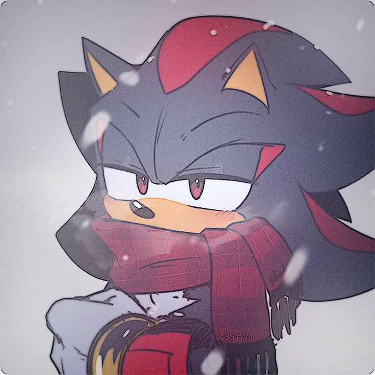 🎀🖤._.SHADOW._.🖤🎀