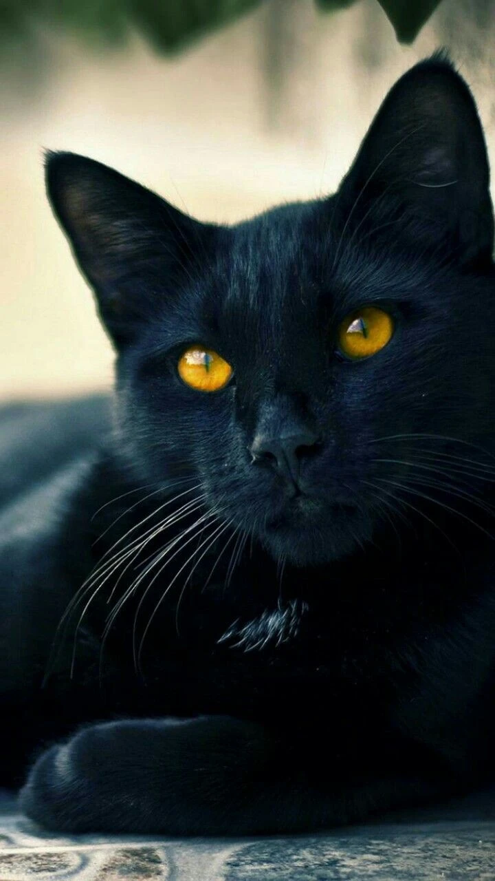 Lucifer thumbnail
