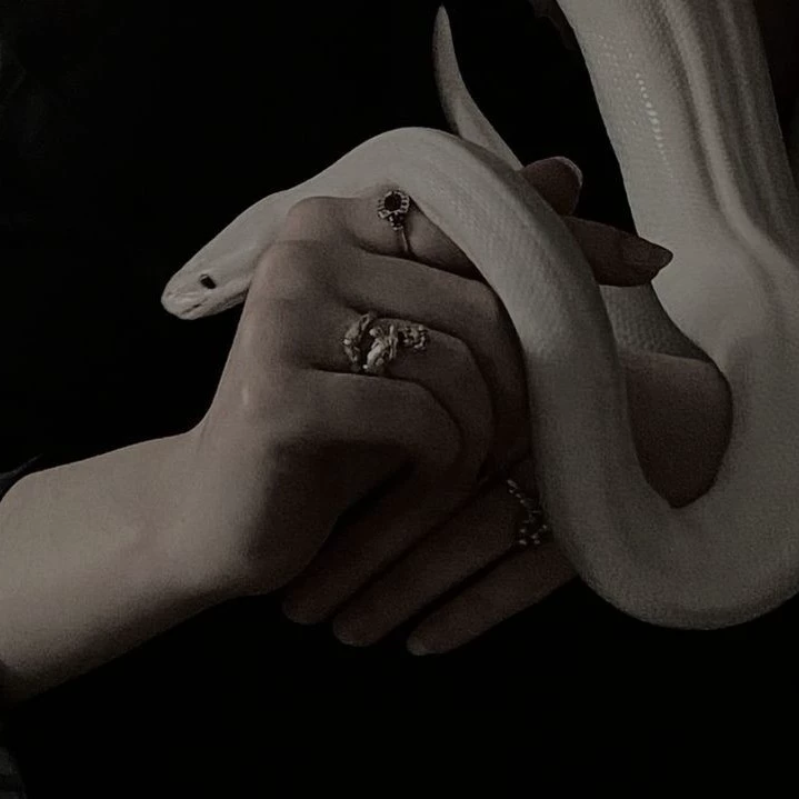 𝑫𝒊 𝑨𝒏𝒈𝒆𝒍𝒐