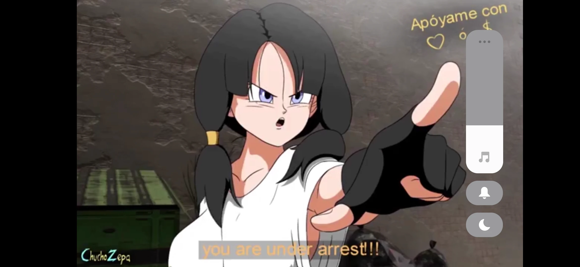 Videl thumbnail