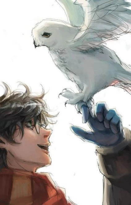harry Potter AU thumbnail