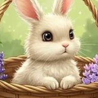 Bunny 