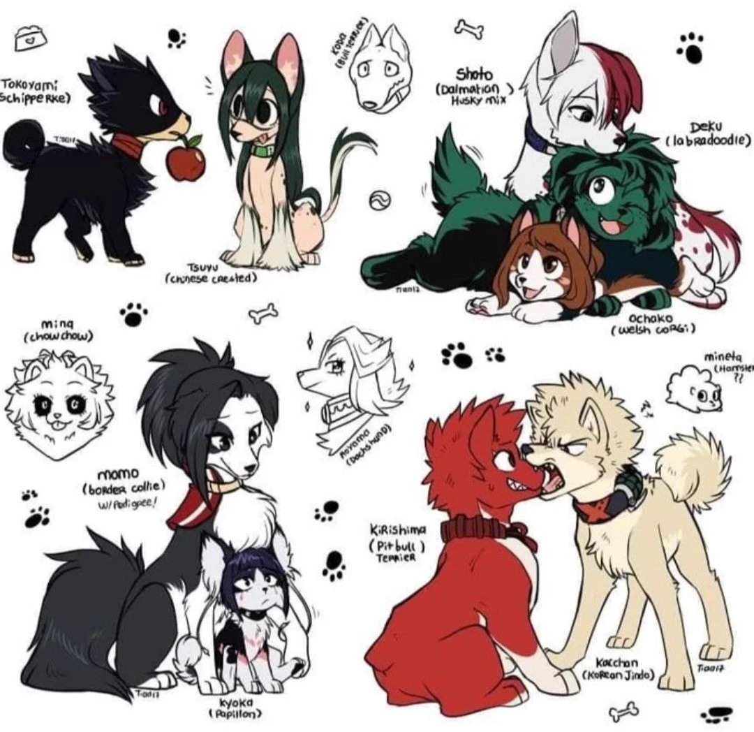 1A, My Hero Academia animals thumbnail