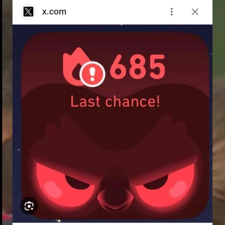 Duolingo  thumbnail