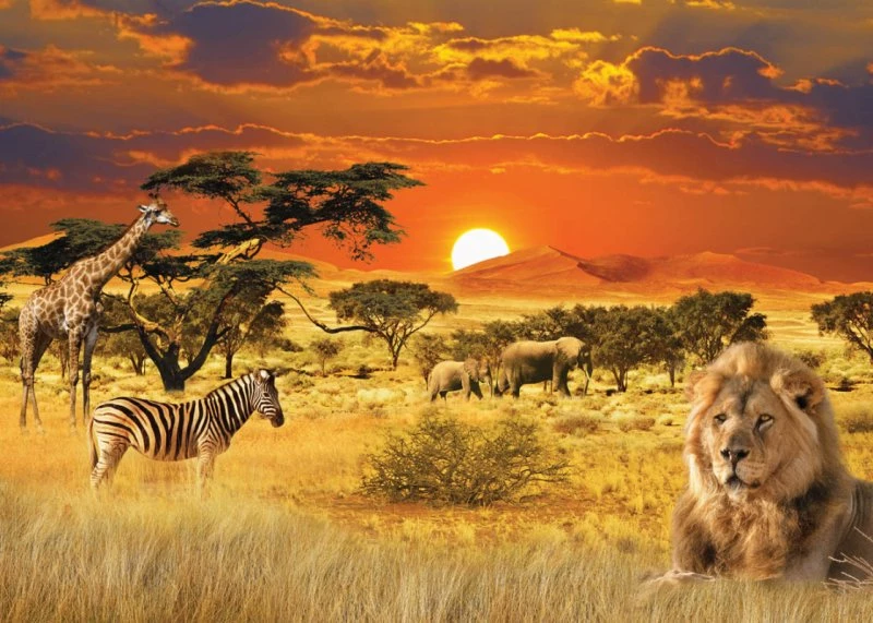 The Animal World thumbnail