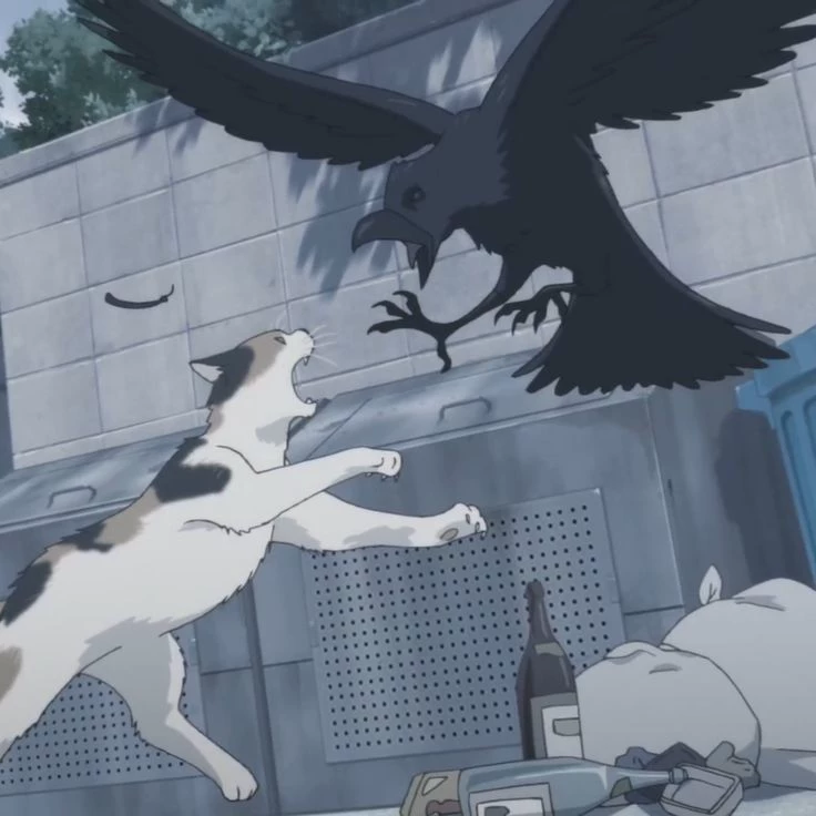 Haikyuu thumbnail