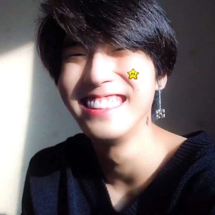 ☆.｡.:Jisung:.｡.:☆