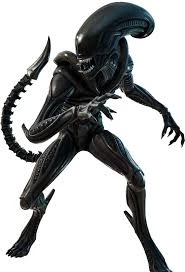 Xenomorph XX121 thumbnail
