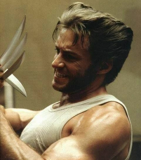 X-Men - Wolverine thumbnail