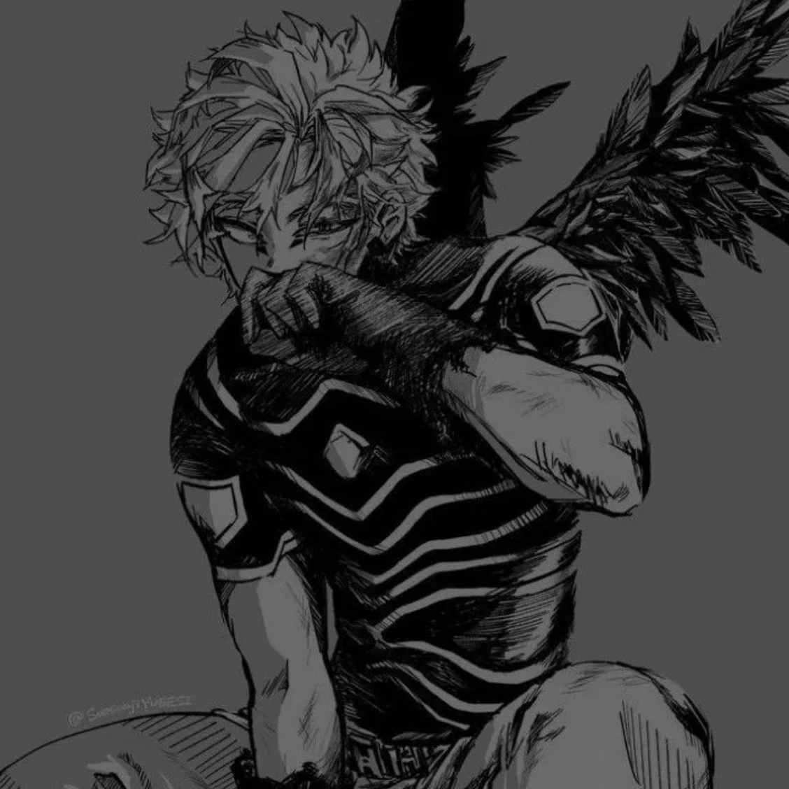Hawks thumbnail