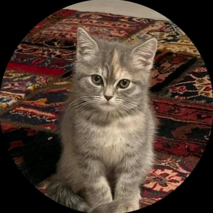 Malak 