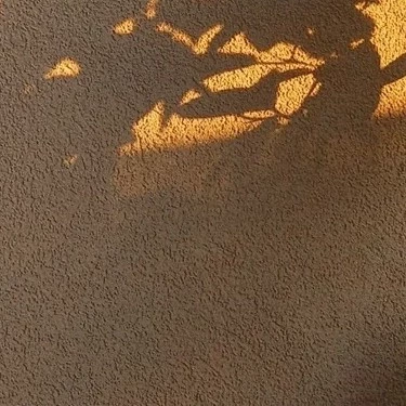 Lunarwolf