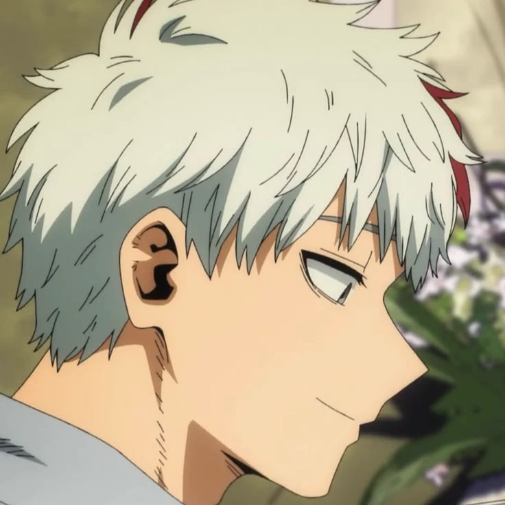 Shoto Todoroki thumbnail