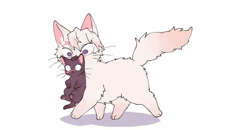 sanemi gato thumbnail