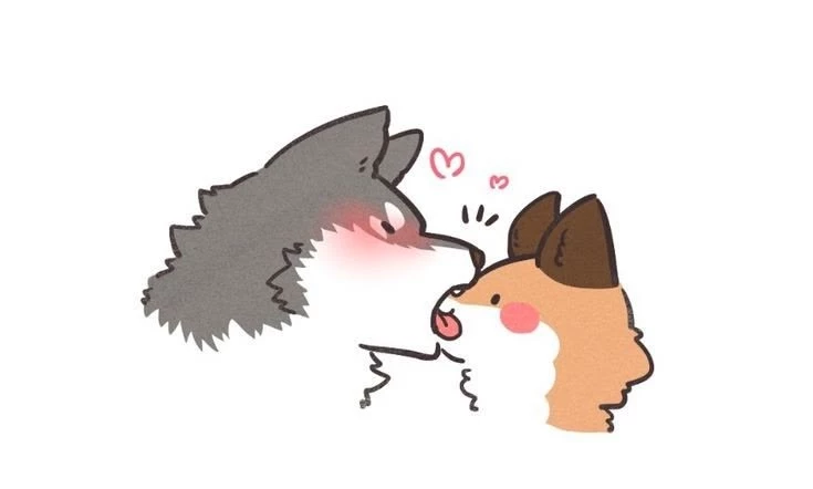 🐺Wolf x fox🦊 thumbnail