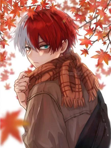 ★Shoto Todoroki★ thumbnail