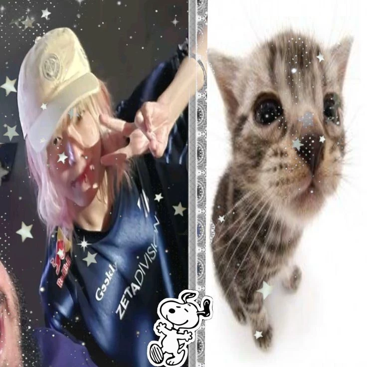 Pamira