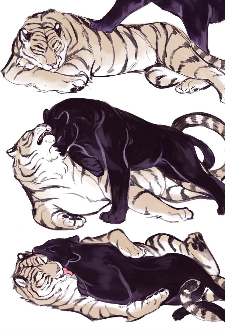 Beyond panther thumbnail