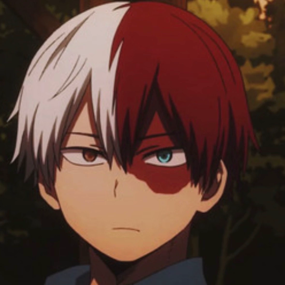 Shot Todoroki thumbnail