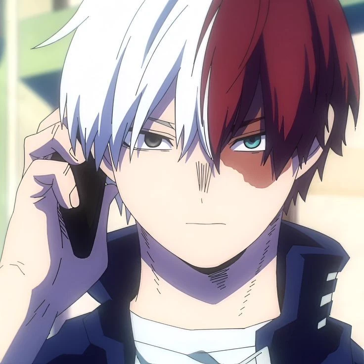 Shoto Todoroki thumbnail