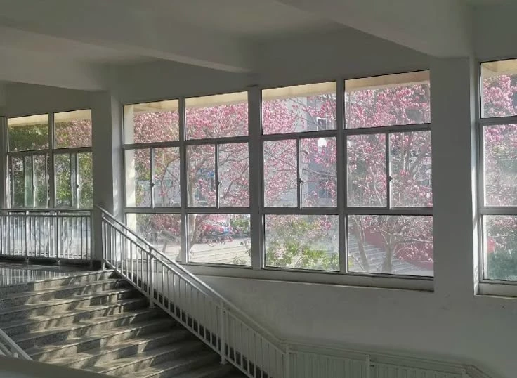 Japanese high school!! thumbnail