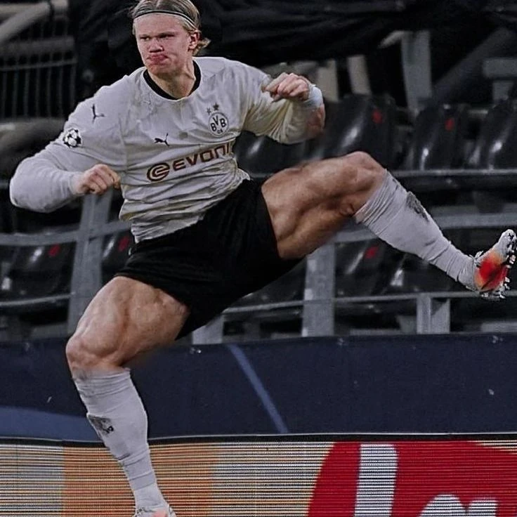 🐒 ERLING HAALAND. thumbnail