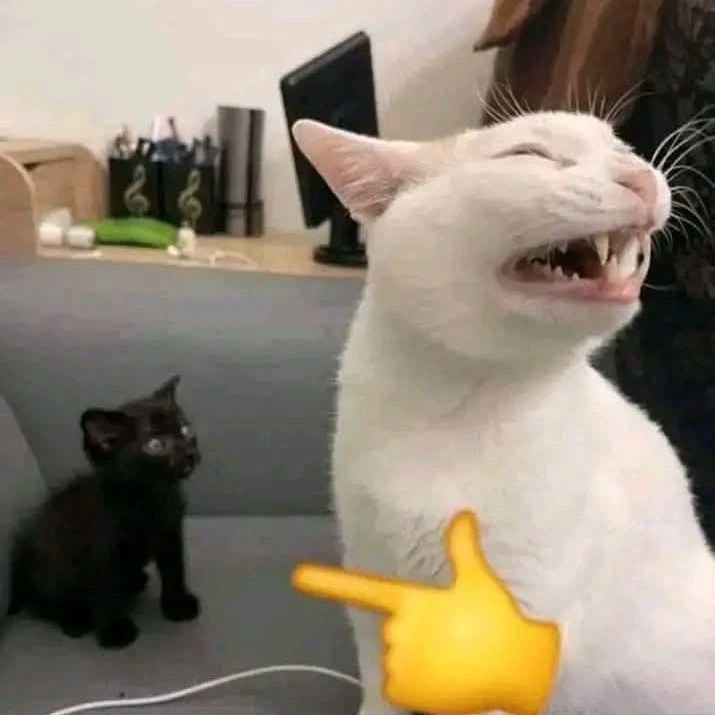 gato grr thumbnail