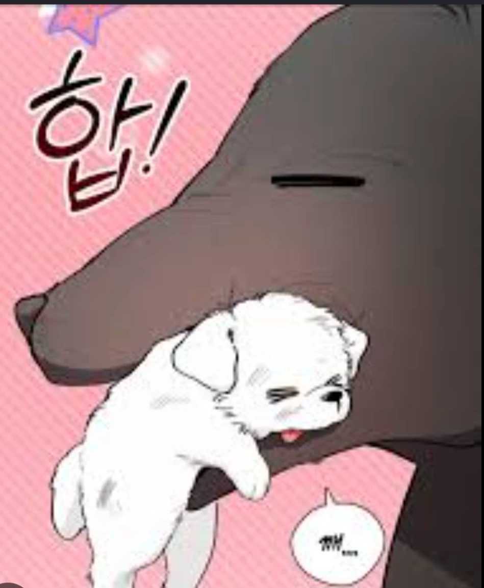 Dog thumbnail