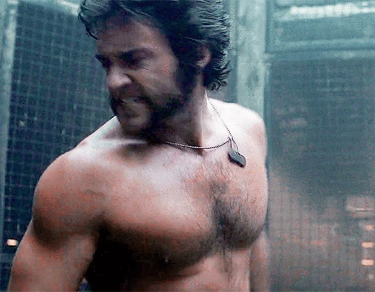 X-MEN ORIGINS: WOLVERINE (LOGAN) thumbnail