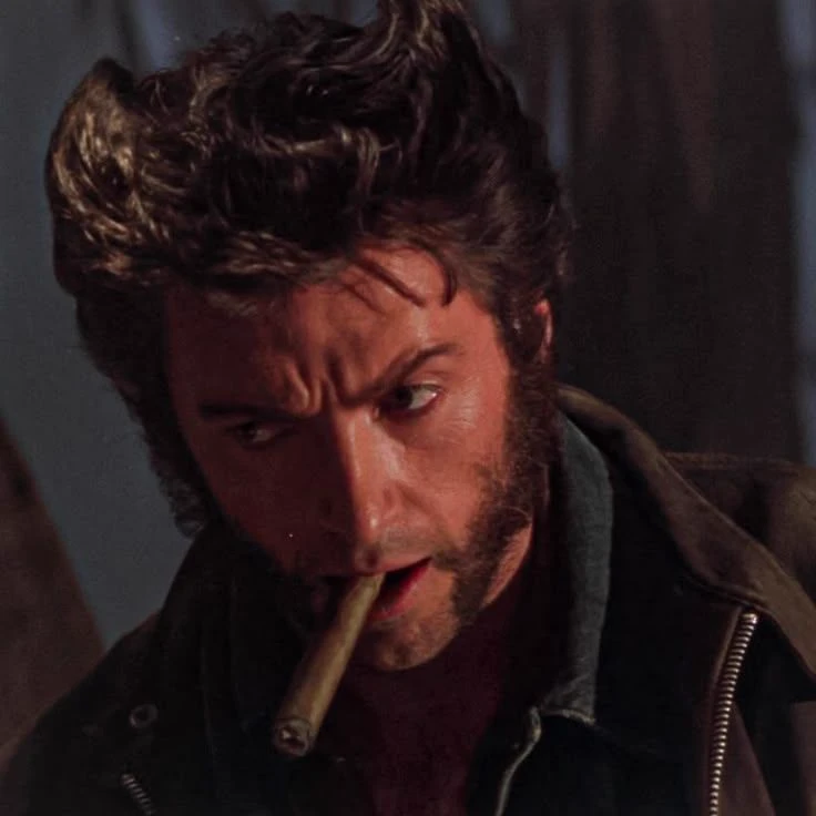 X-MEN ORIGINS: WOLVERINE (2009) thumbnail