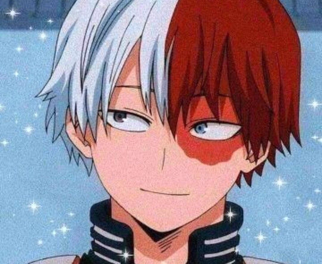 todoroki shoto thumbnail